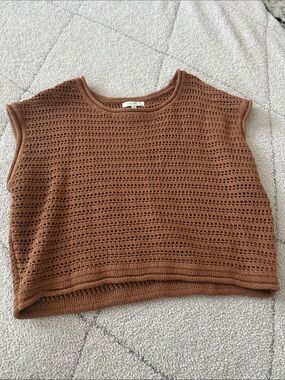 Z Supply Crochet Knit Crop Top in Brown